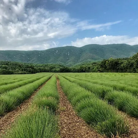 Piscine Face Au Grand Luberon וילה Céreste