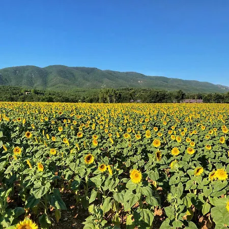 Piscine Face Au Grand Luberon Villa Cereste