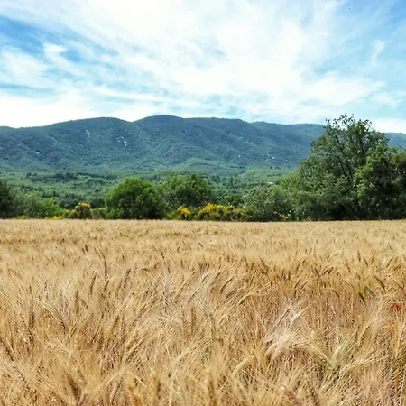 Piscine Face Au Grand Luberon Villa