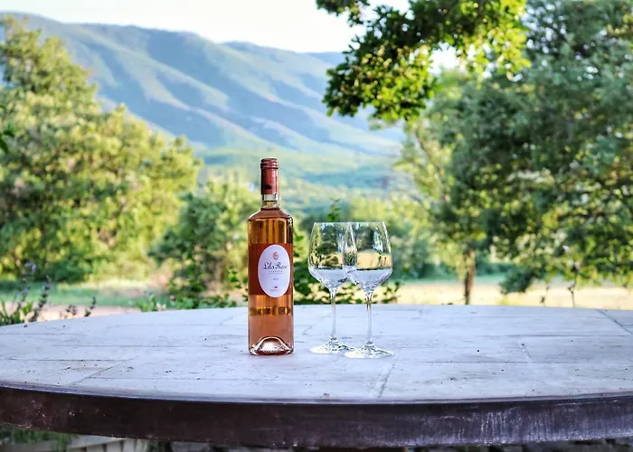 Piscine Face Au Grand Luberon Céreste
