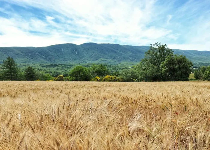 Piscine Face Au Grand Luberon Villa
